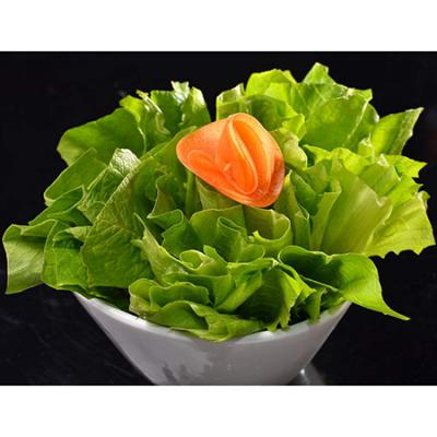 有机油麦菜