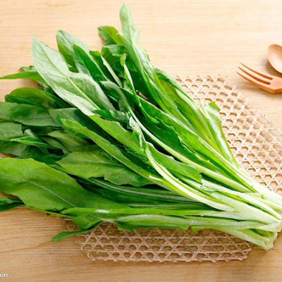 有机油麦菜