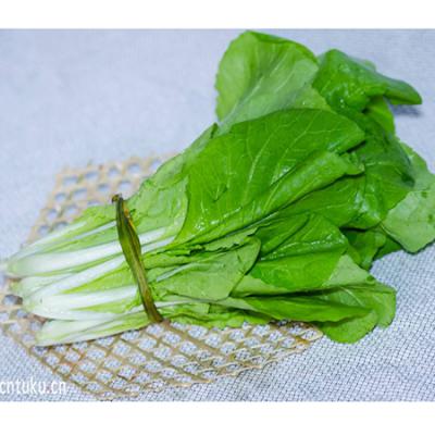 有机小白菜