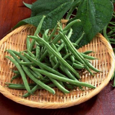 有机四季豆