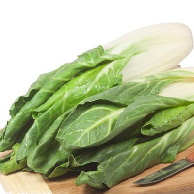 有机牛皮菜