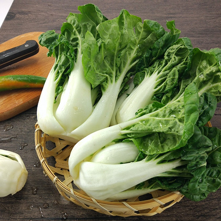 奶白菜