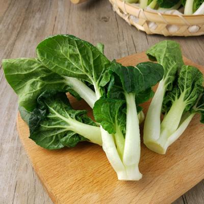 奶白菜