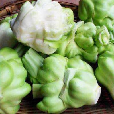 青菜头
