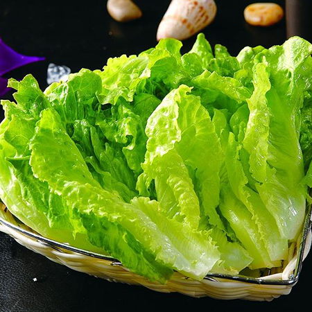 有机生菜