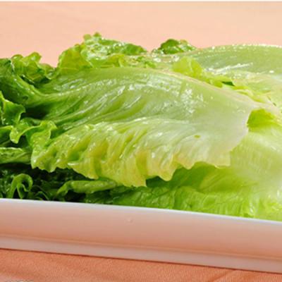 有机生菜