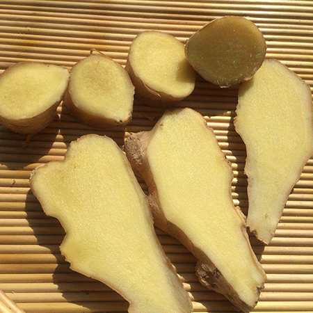 生姜