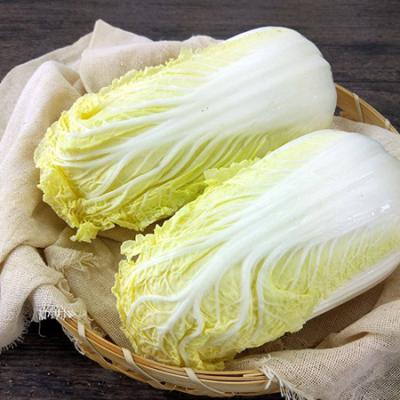 娃娃菜