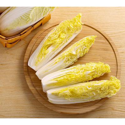 娃娃菜
