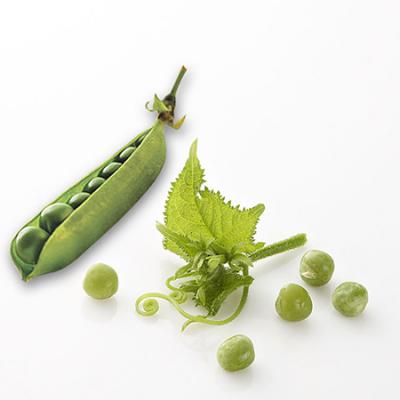 豌豆荚