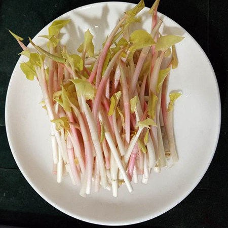 野生 折耳根
